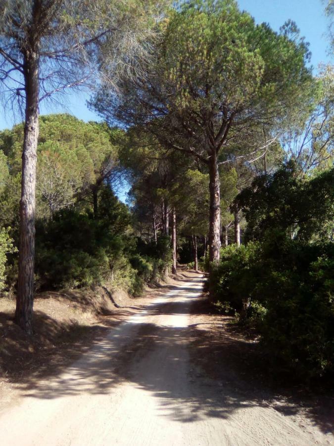 Appartamento Vacanze Sardegna Синискола Екстериор снимка